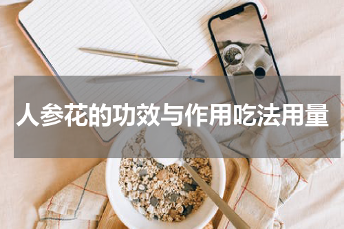 人参花的功效与作用吃法用量