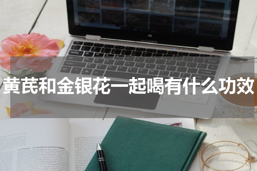 黄芪和金银花一起喝有什么功效