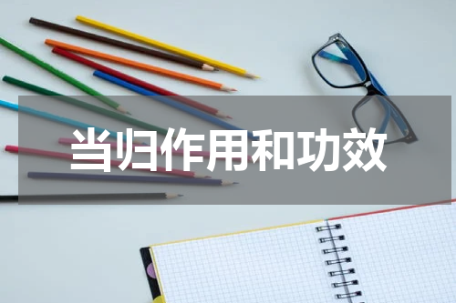 当归作用和功效