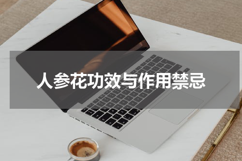 人参花功效与作用禁忌