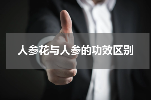 人参花与人参的功效区别