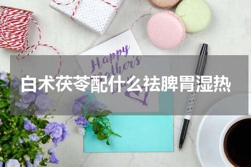 白术茯苓配什么祛脾胃湿热