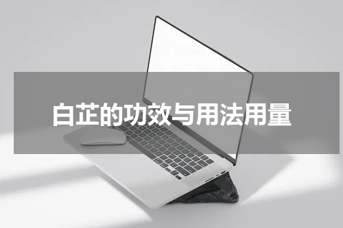 白芷的功效与用法用量