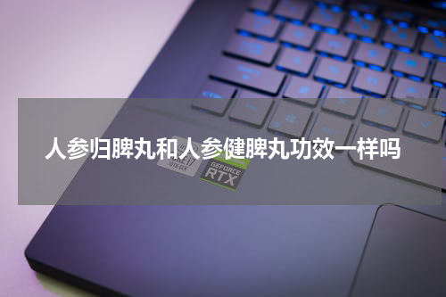 人参归脾丸和人参健脾丸功效一样吗