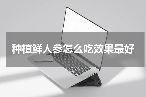 种植鲜人参怎么吃效果最好
