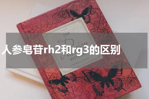人参皂苷rh2和rg3的区别