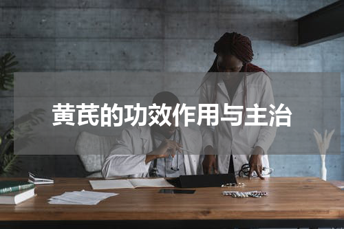 黄芪的功效作用与主治