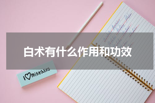 白术有什么作用和功效
