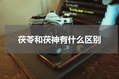茯苓和茯神有什么区别