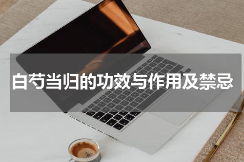 白芍当归的功效与作用及禁忌