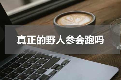 真正的野人参会跑吗