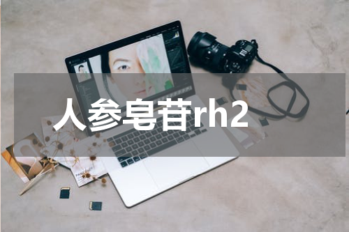 人参皂苷rh2