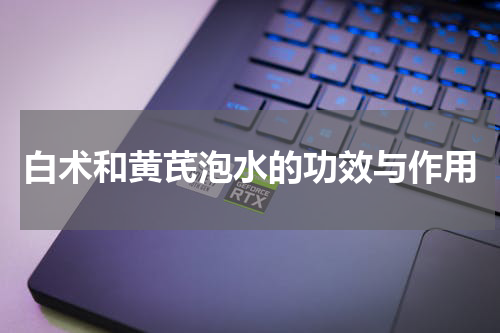 白术和黄芪泡水的功效与作用