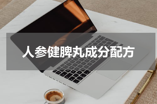 人参健脾丸成分配方
