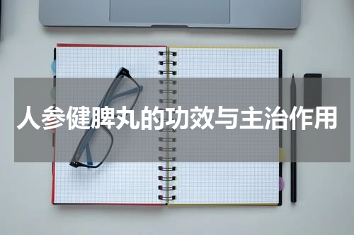 人参健脾丸的功效与主治作用