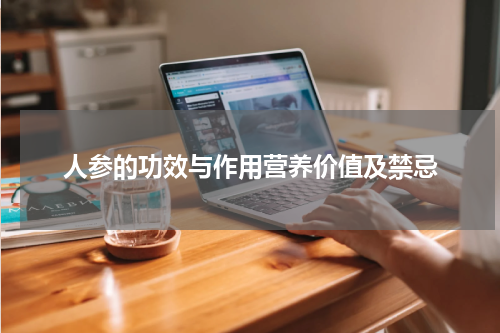 人参的功效与作用营养价值及禁忌