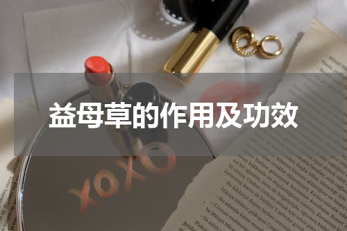 益母草的作用及功效