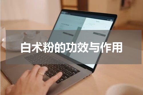 白术粉的功效与作用