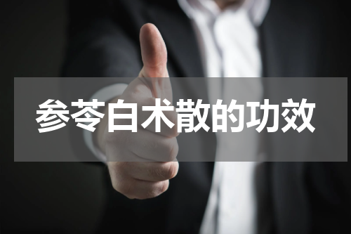 参苓白术散的功效