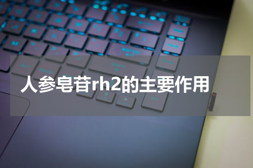 人参皂苷rh2的主要作用
