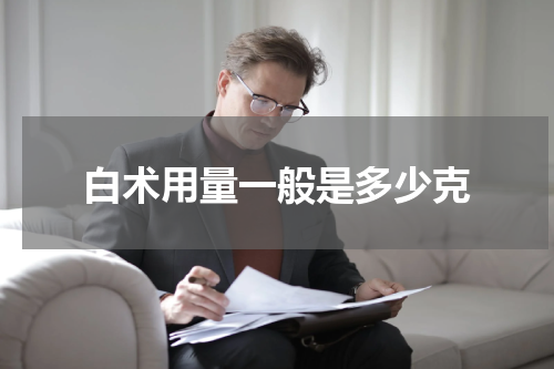 白术用量一般是多少克
