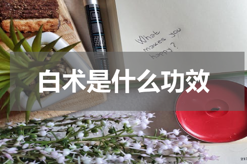 白术是什么功效