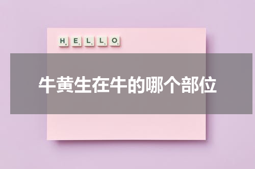 牛黄生在牛的哪个部位