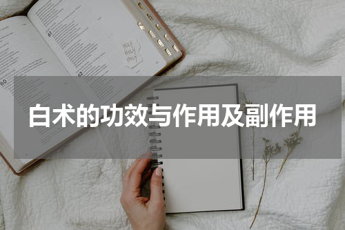 白术的功效与作用及副作用