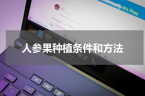 人参果种植条件和方法
