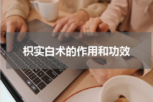 枳实白术的作用和功效