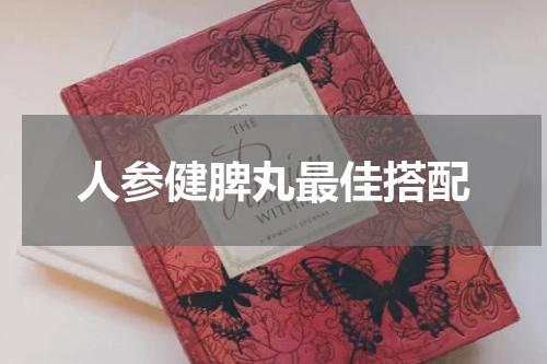 人参健脾丸最佳搭配