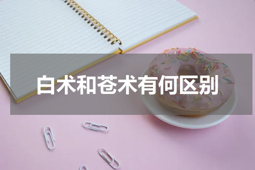 白术和苍术有何区别
