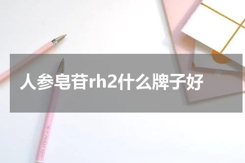 人参皂苷rh2什么牌子好