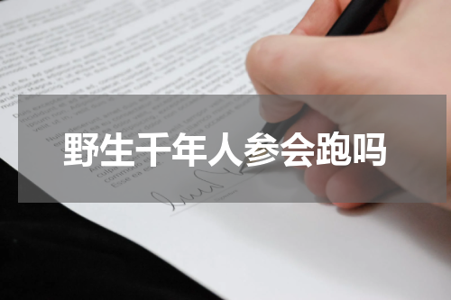 野生千年人参会跑吗