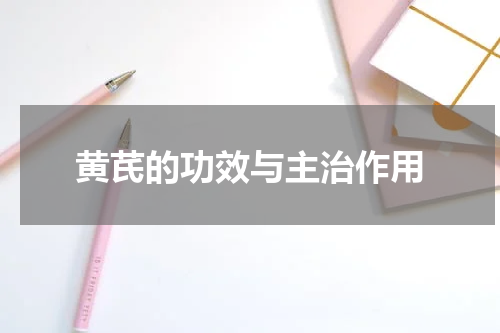 黄芪的功效与主治作用