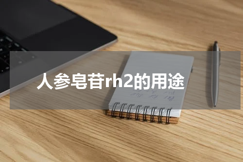 人参皂苷rh2的用途