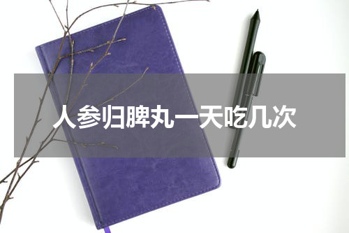 人参归脾丸一天吃几次