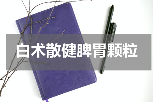 白术散健脾胃颗粒