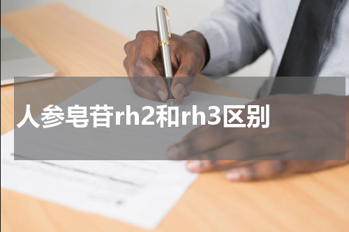 人参皂苷rh2和rh3区别