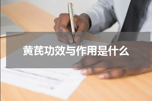 黄芪功效与作用是什么