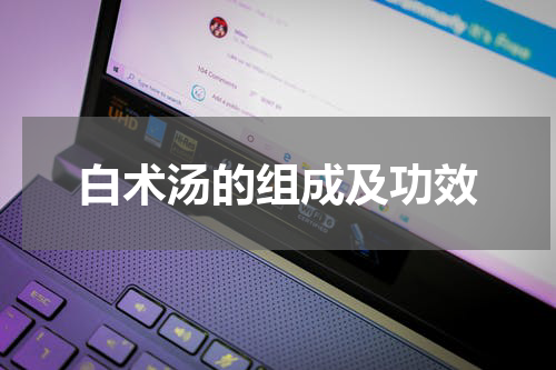 白术汤的组成及功效