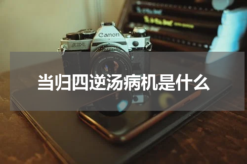 当归四逆汤病机是什么