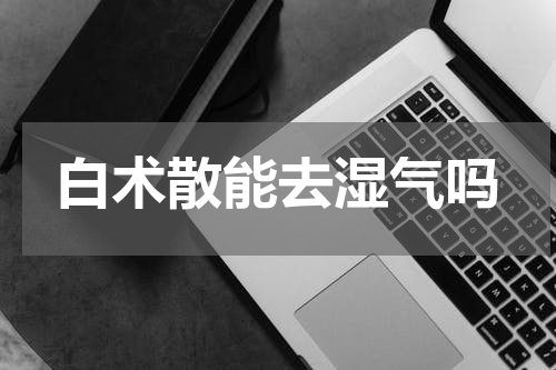 白术散能去湿气吗