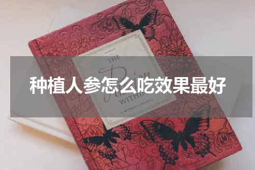 种植人参怎么吃效果最好