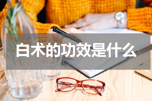 白术的功效是什么