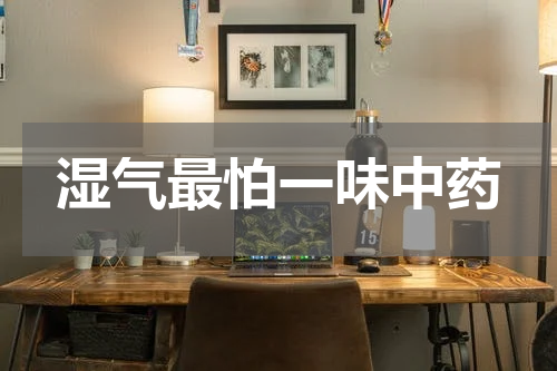 湿气最怕一味中药