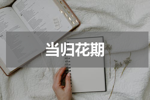 当归花期