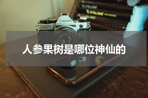 人参果树是哪位神仙的