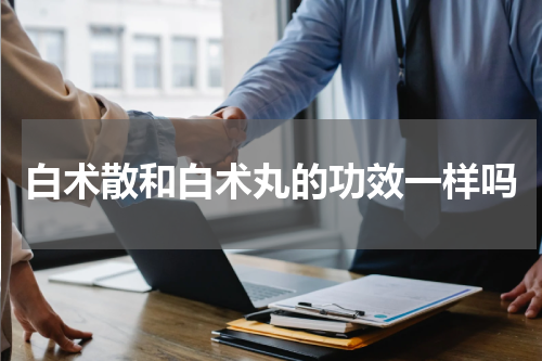 白术散和白术丸的功效一样吗