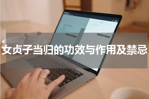 女贞子当归的功效与作用及禁忌